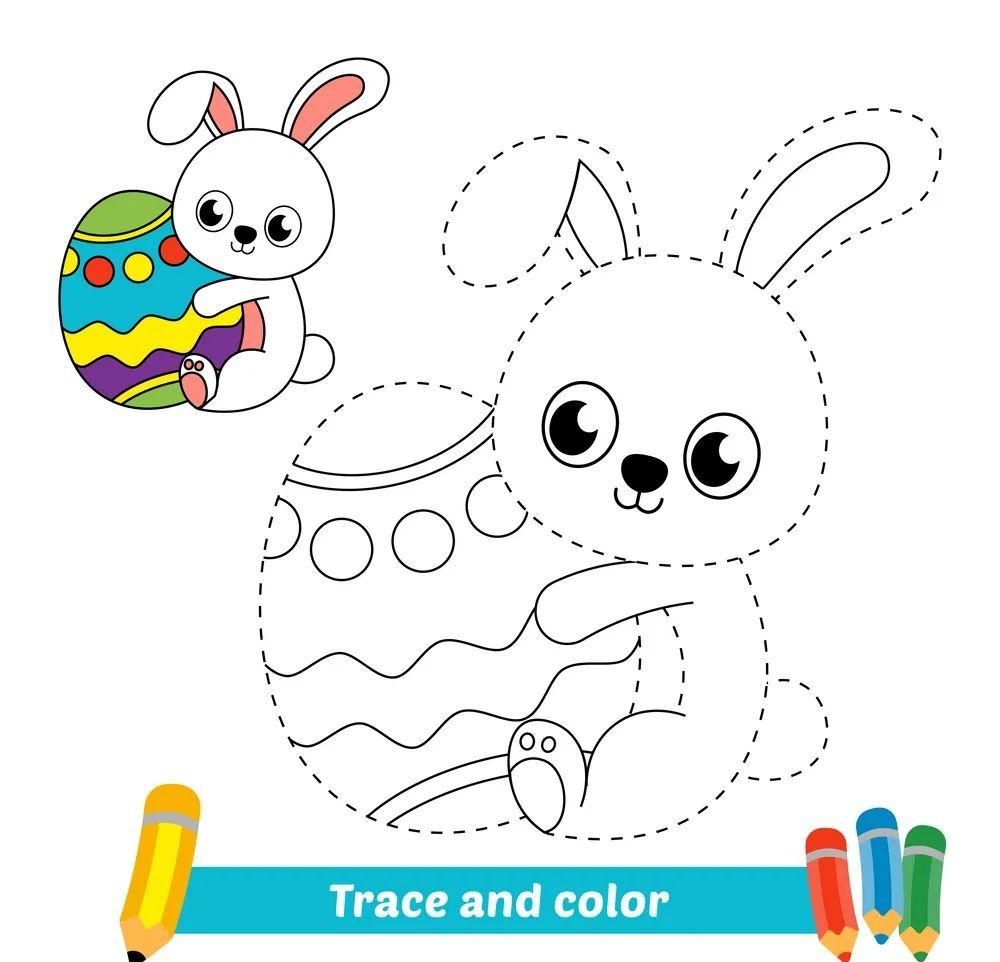 Çizgi Çalışmaları