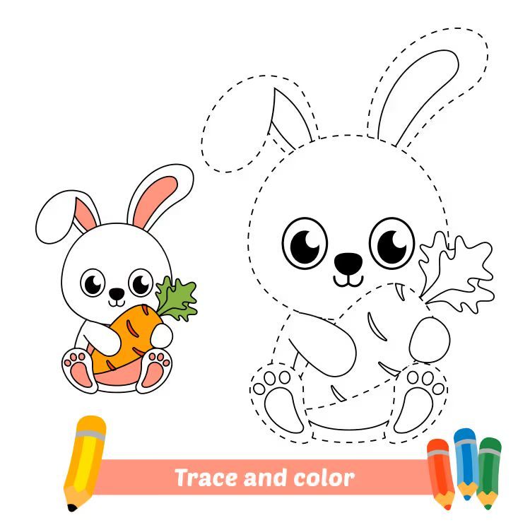 Çizgi Çalışmaları