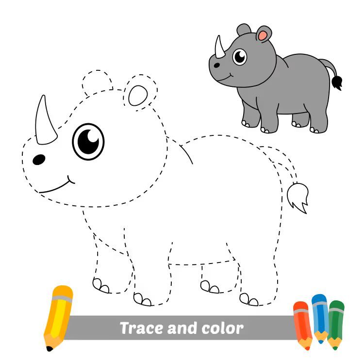 Çizgi Çalışmaları