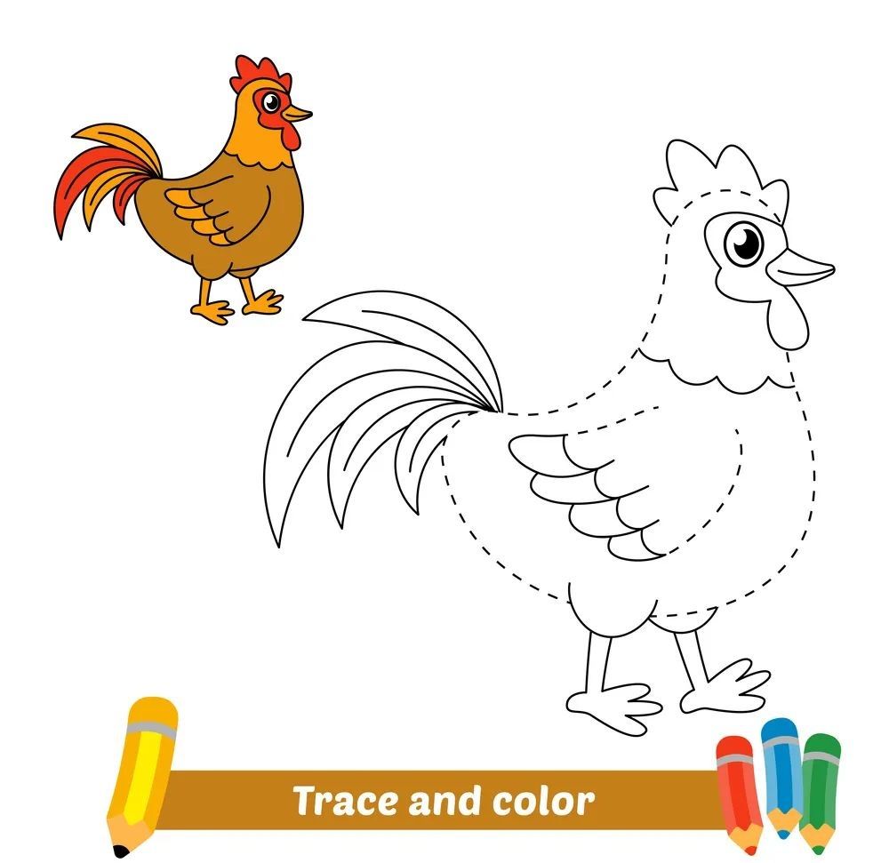 Çizgi Çalışmaları