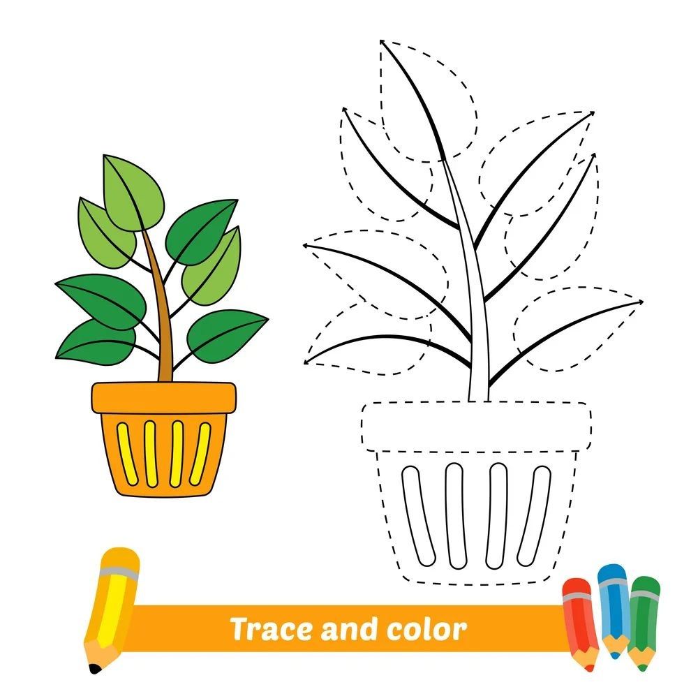 Çizgi Çalışmaları