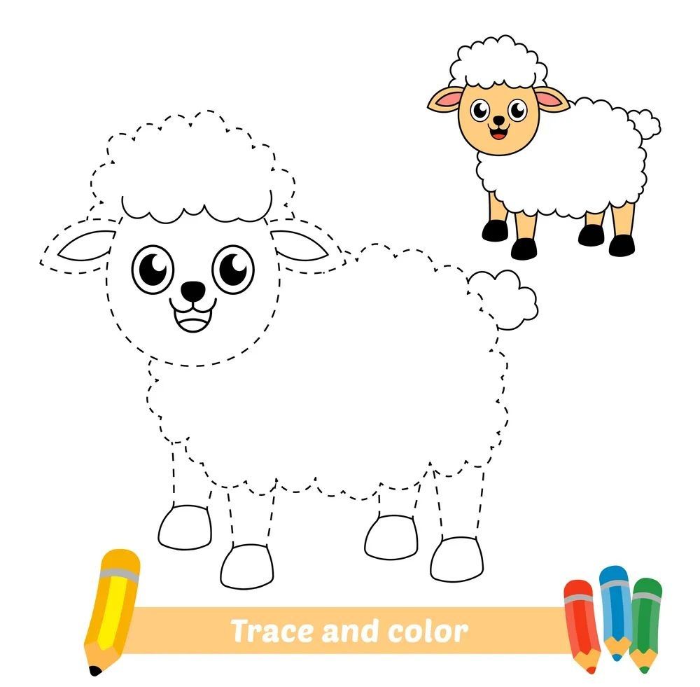 Çizgi Çalışmaları