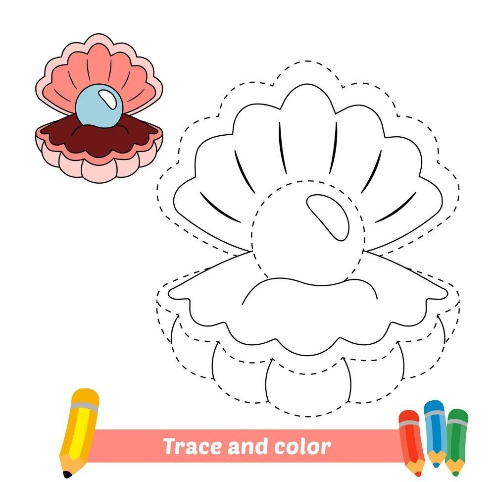 Çizgi Çalışmaları
