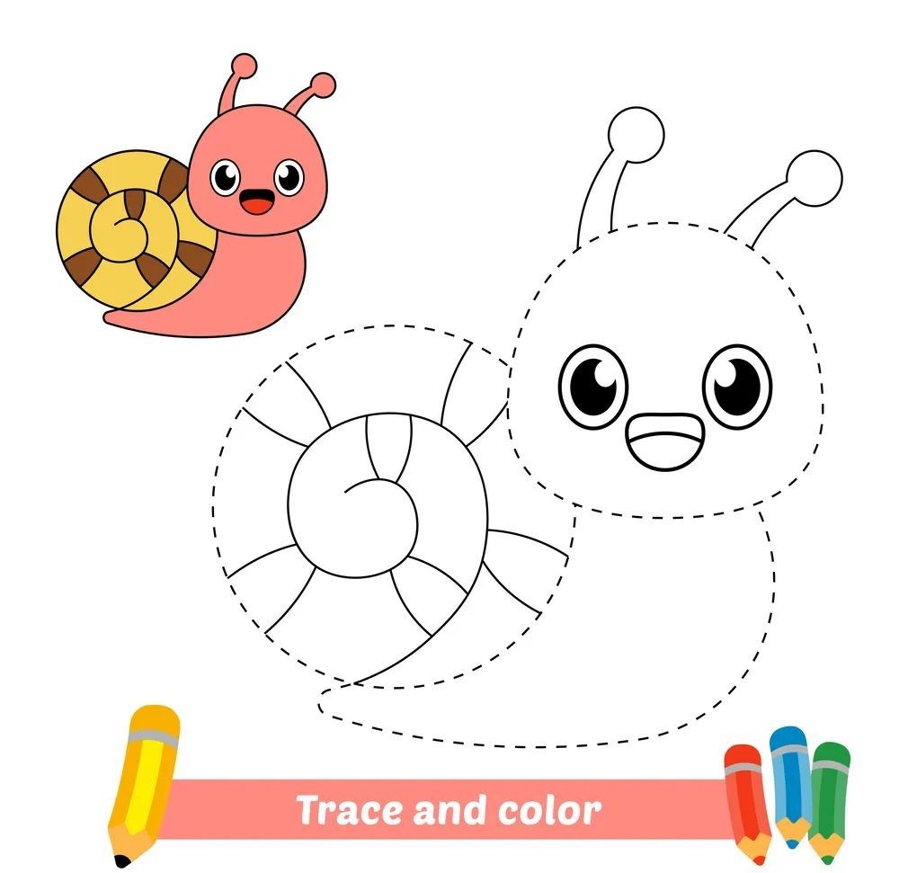 Çizgi Çalışmaları