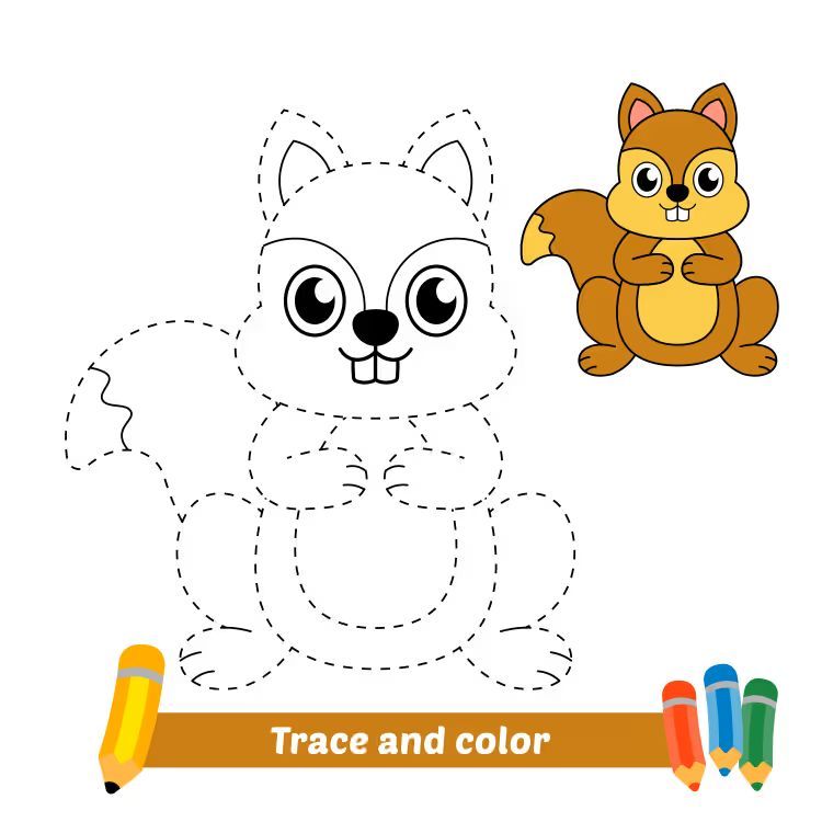 Çizgi Çalışmaları