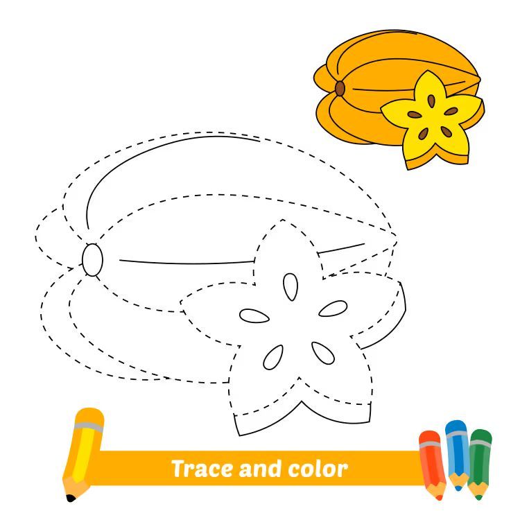 Çizgi Çalışmaları