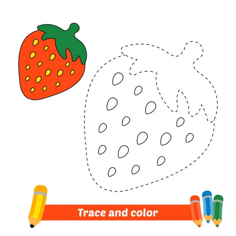 Çizgi Çalışmaları