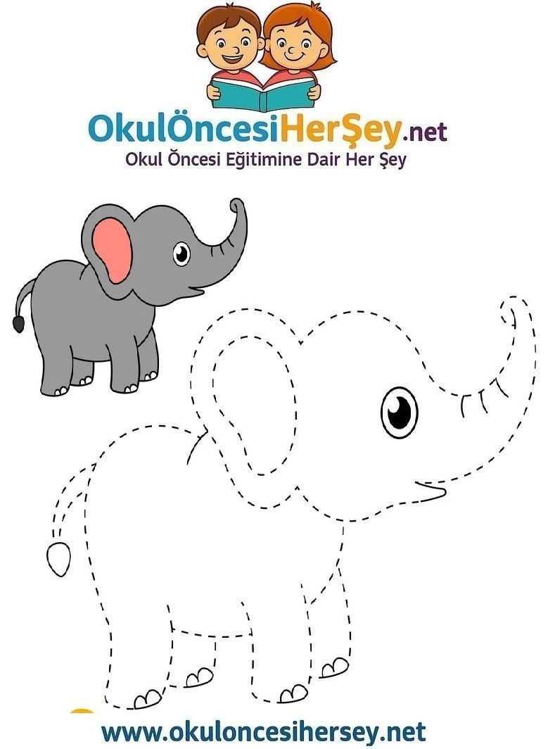 Çizgi Çalışmaları