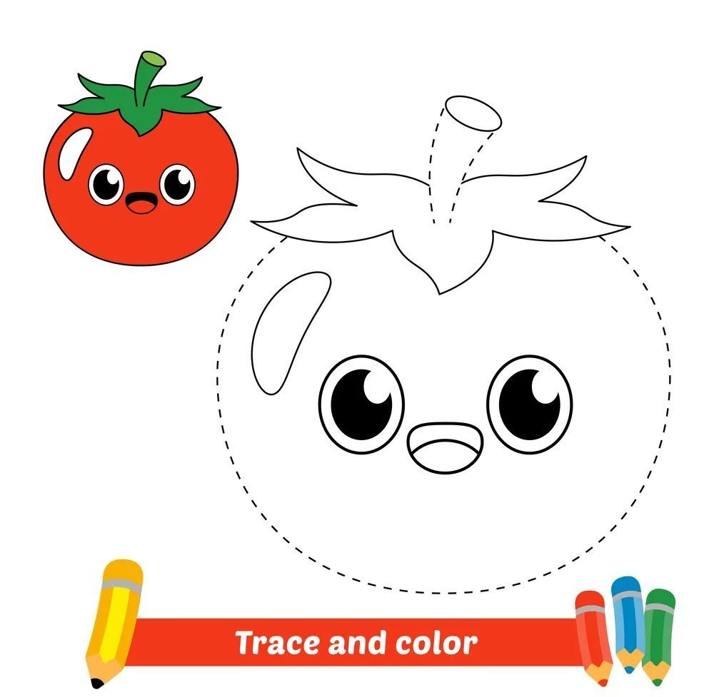 Çizgi Çalışmaları