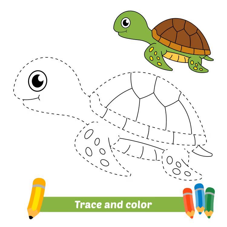 Çizgi Çalışmaları