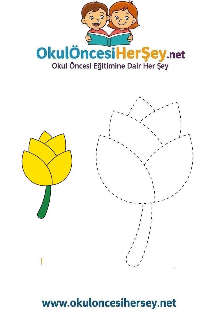 Çizgi Çalışmaları