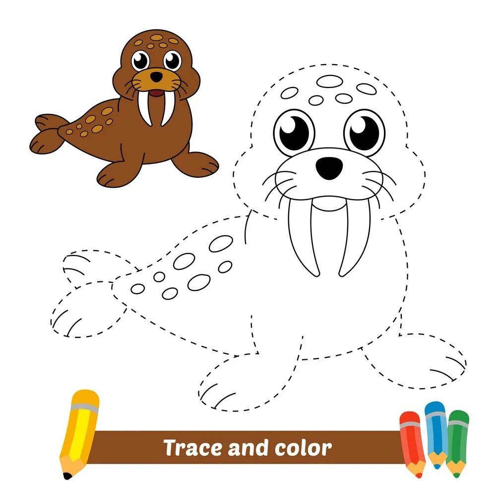 Çizgi Çalışmaları