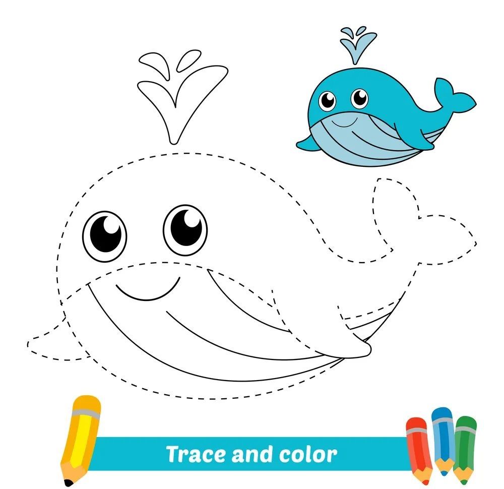 Çizgi Çalışmaları