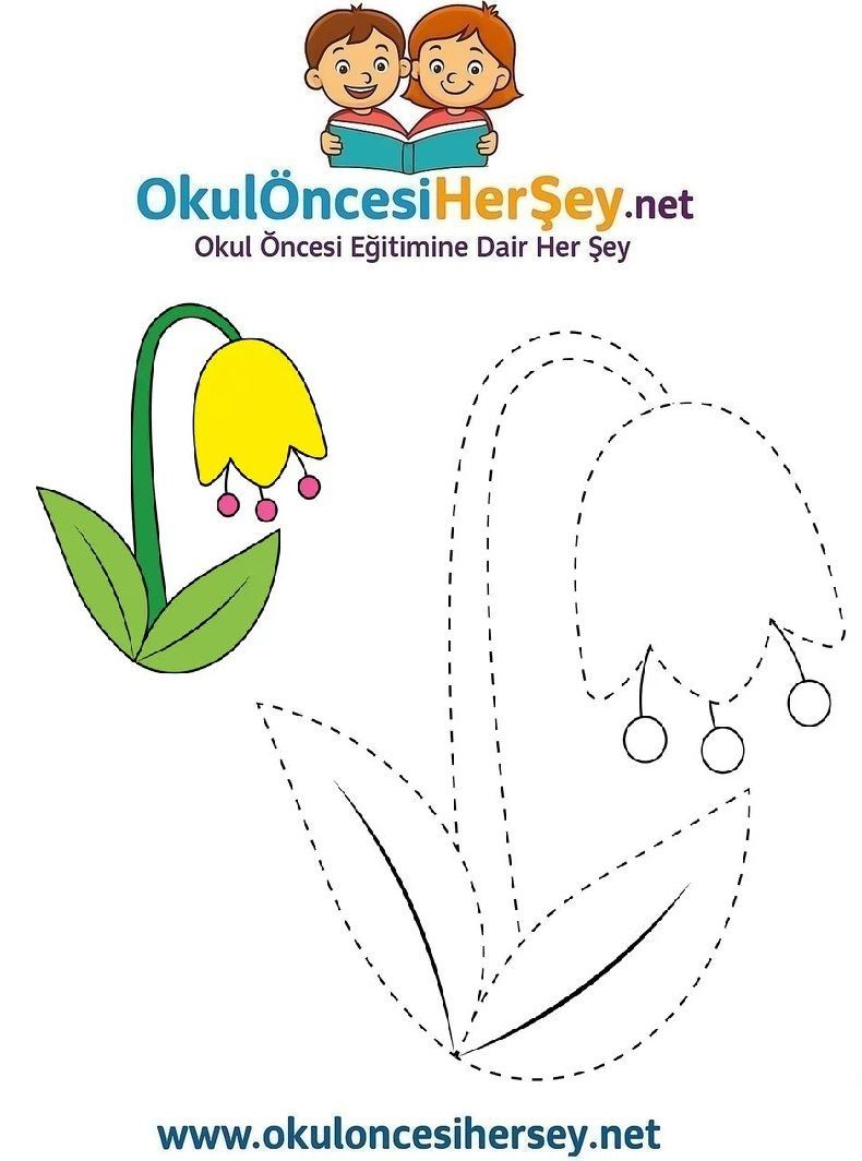 Çizgi Çalışmaları