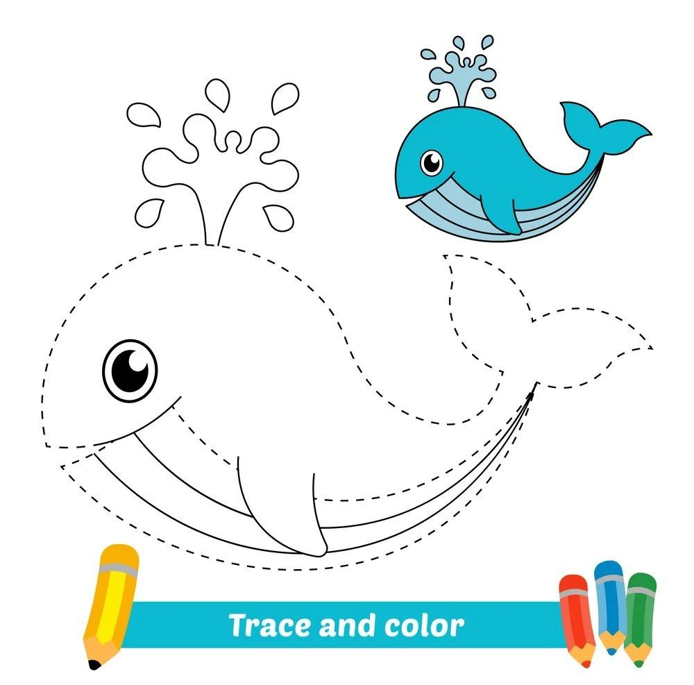 Çizgi Çalışmaları