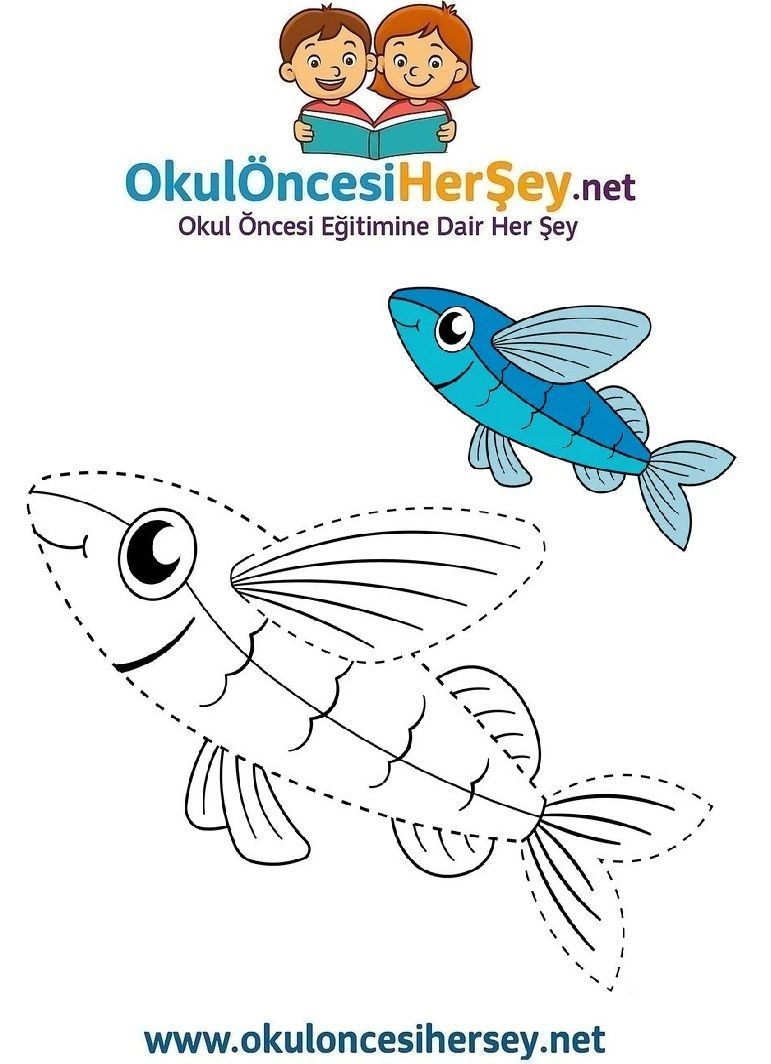 Çizgi Çalışmaları