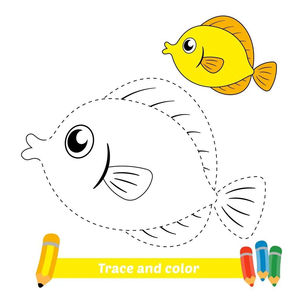 Çizgi Çalışmaları