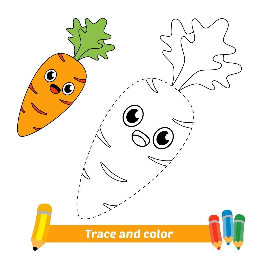 Çizgi Çalışmaları