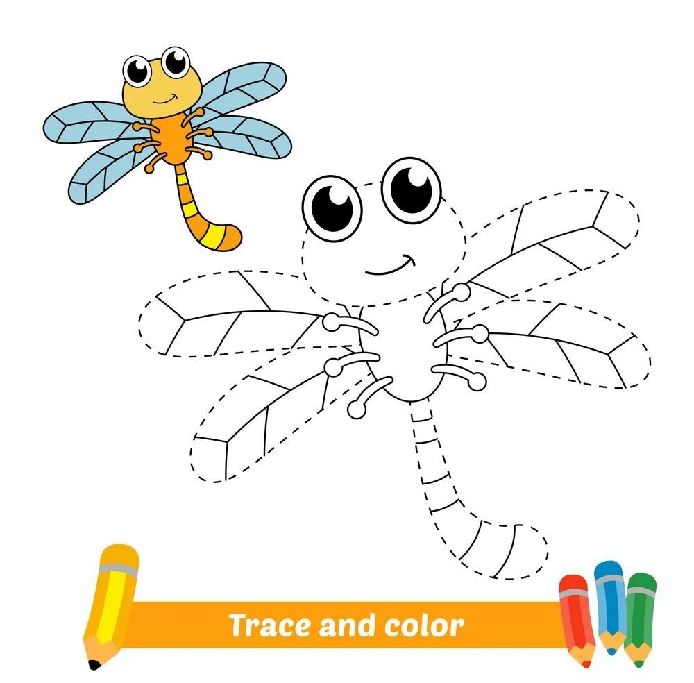 Çizgi Çalışmaları