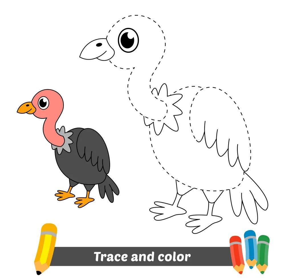 Çizgi Çalışmaları