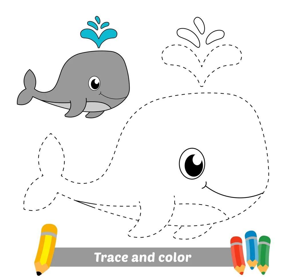 Çizgi Çalışmaları