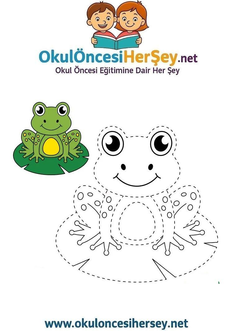 Çizgi Çalışmaları