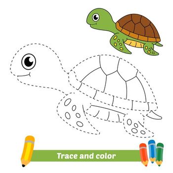 Çizgi Çalışmaları