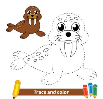 Çizgi Çalışmaları