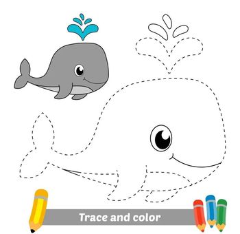 Çizgi Çalışmaları