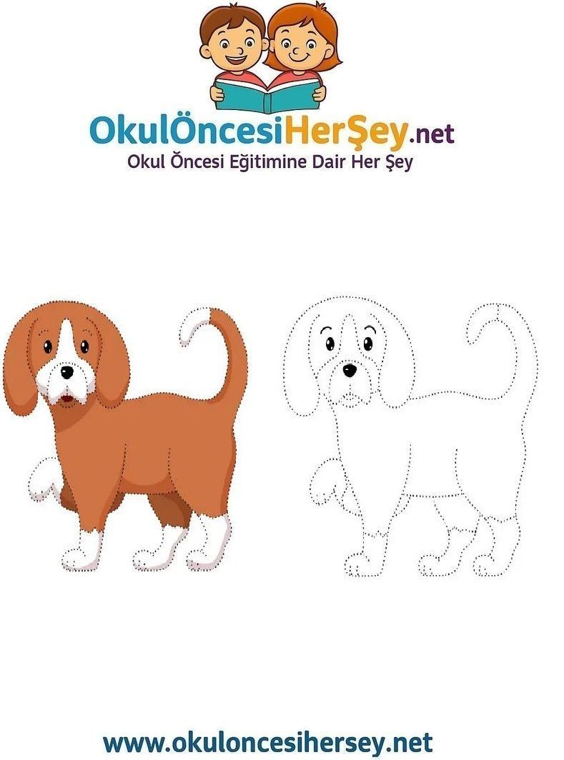 Çizgi Çalışmaları