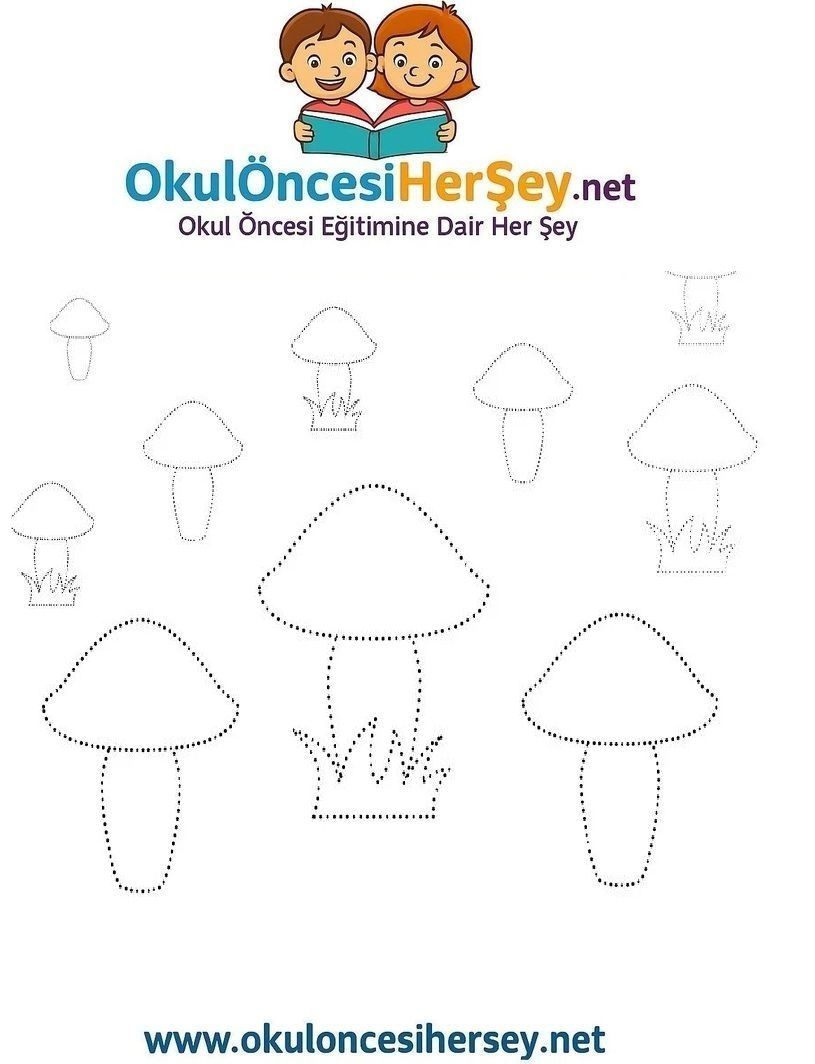 Çizgi Çalışmaları