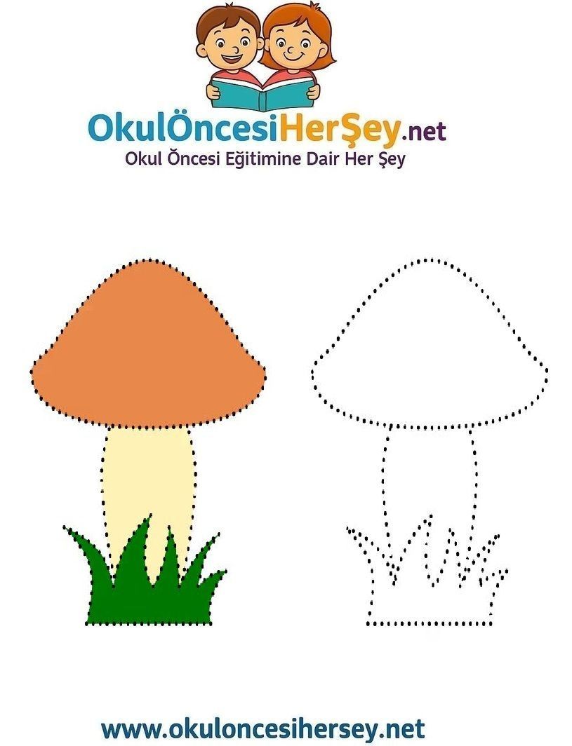 Çizgi Çalışmaları