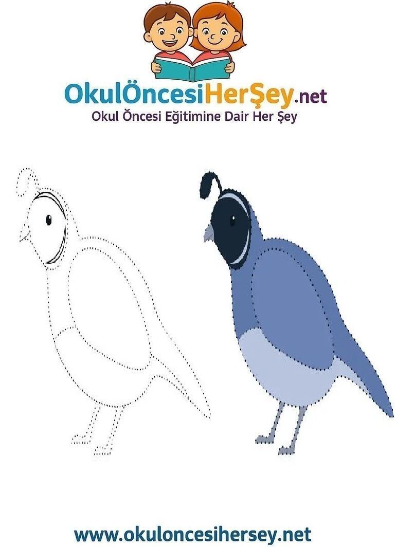 Çizgi Çalışmaları