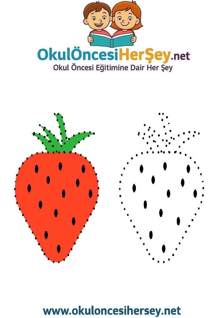 Çizgi Çalışmaları