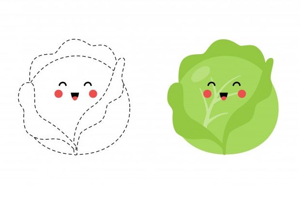 Çizgi Çalışmaları