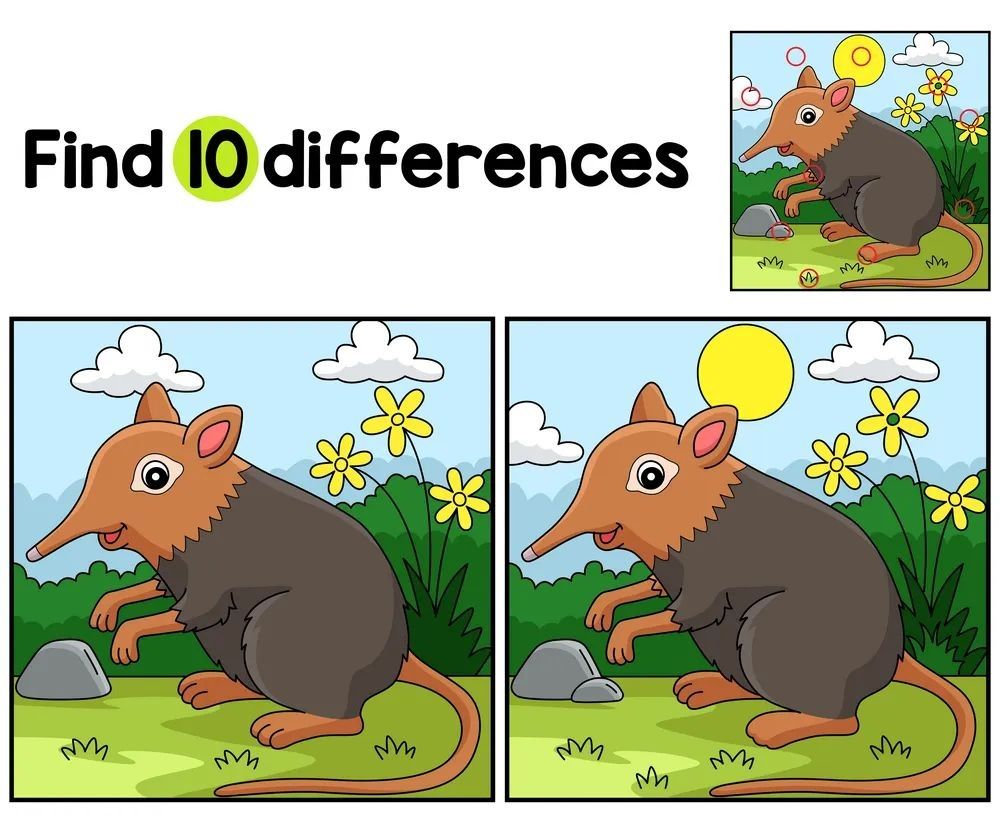 İki Resim Arasındaki 10 Farkı Bul