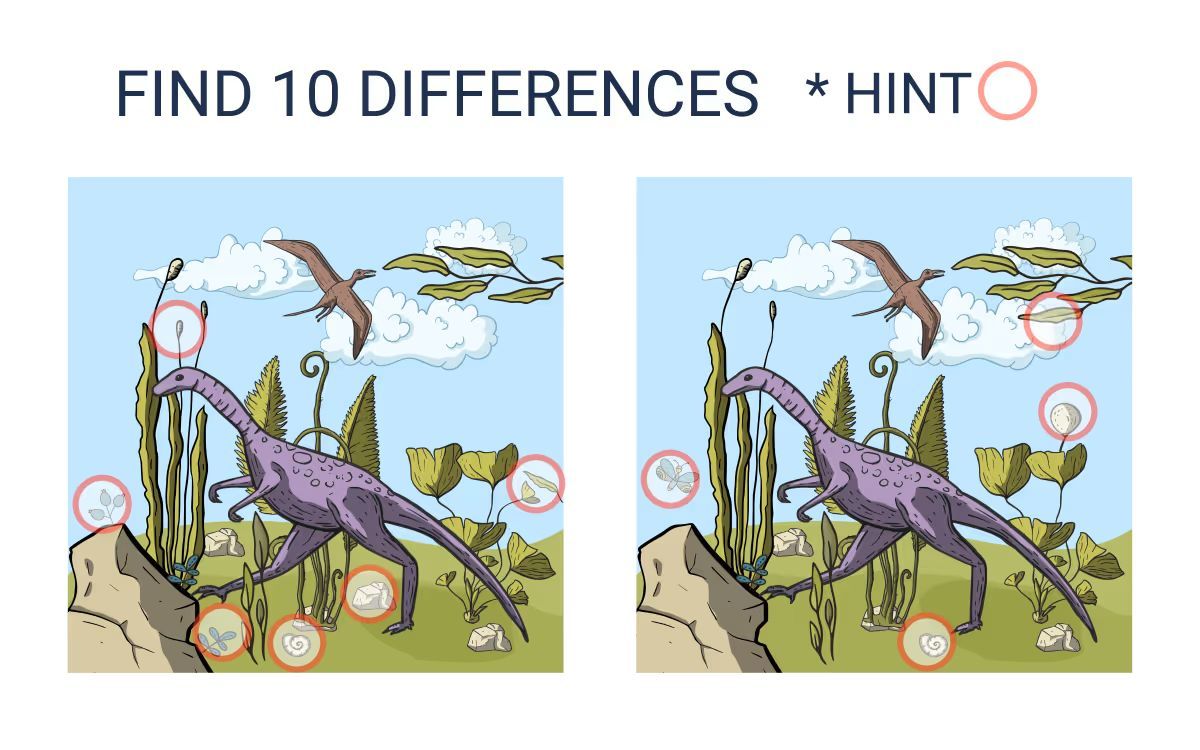 İki Resim Arasındaki 10 Farkı Bul