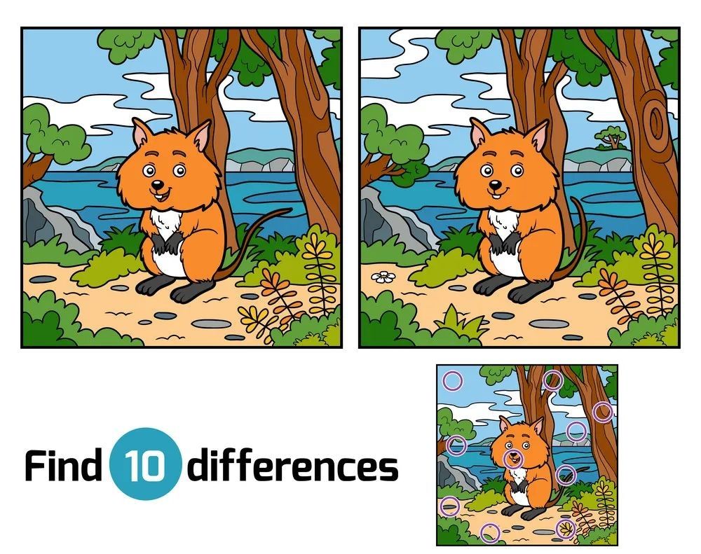 İki Resim Arasındaki 10 Farkı Bul