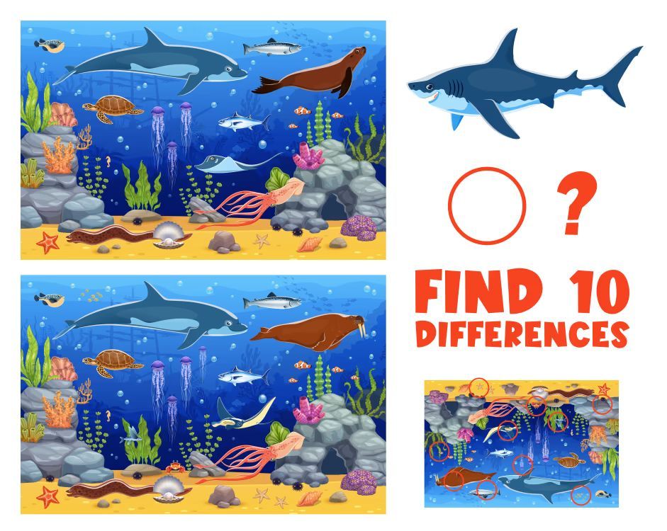 İki Resim Arasındaki 10 Farkı Bul