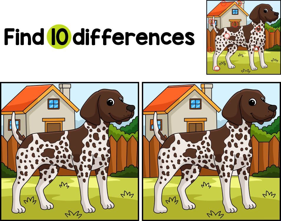 İki Resim Arasındaki 10 Farkı Bul