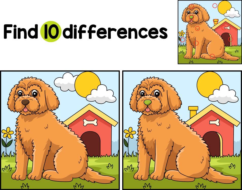 İki Resim Arasındaki 10 Farkı Bul