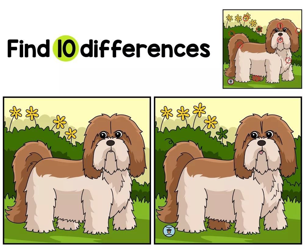 İki Resim Arasındaki 10 Farkı Bul