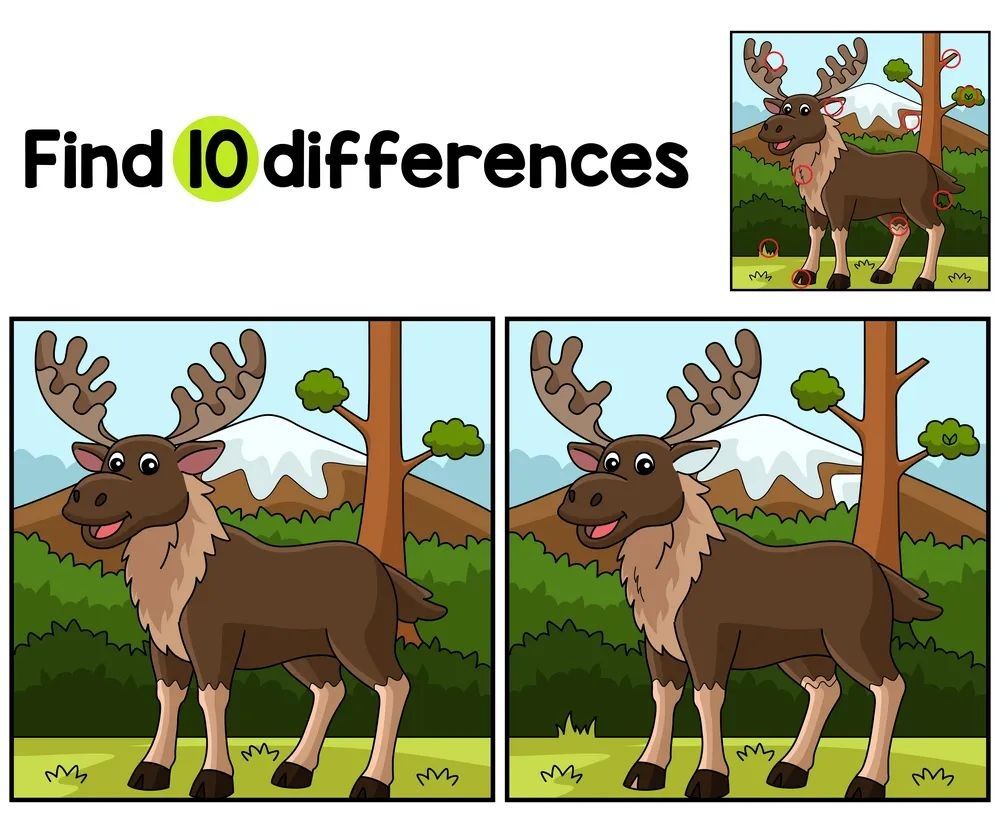 İki Resim Arasındaki 10 Farkı Bul