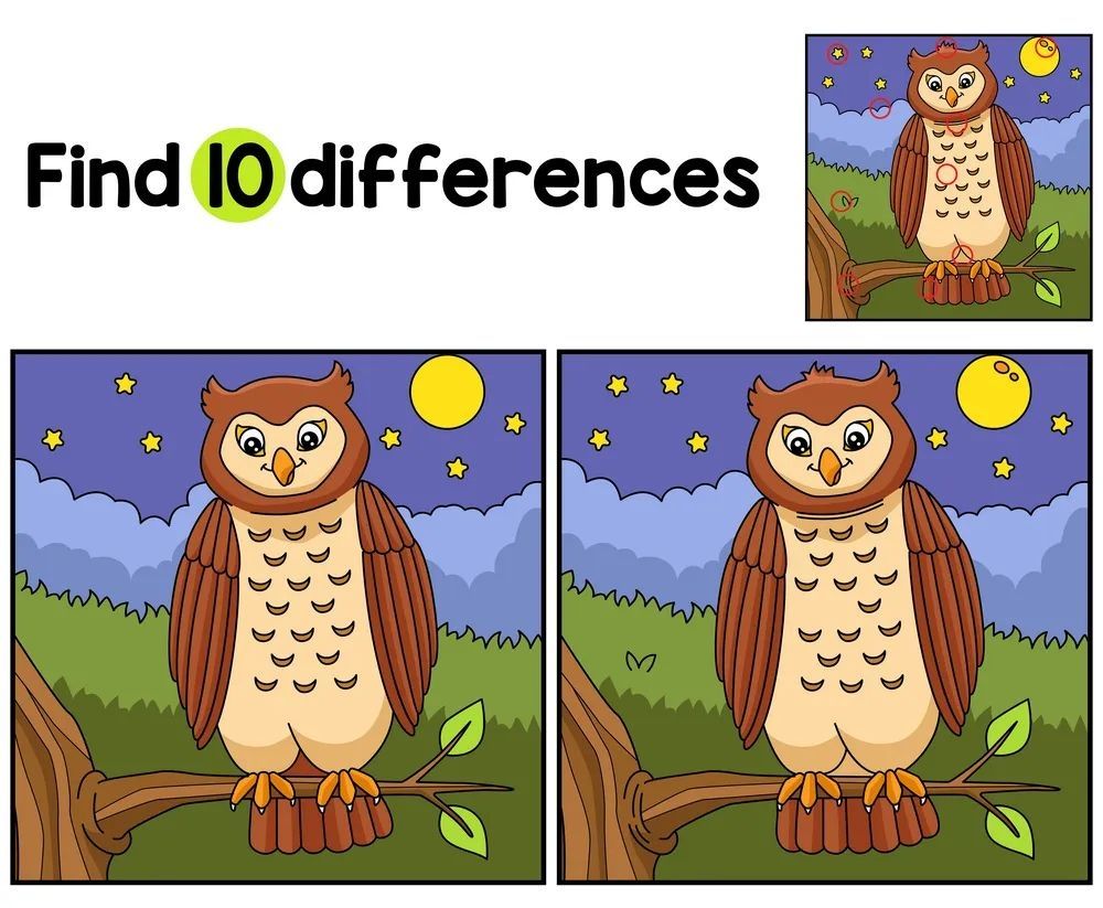 İki Resim Arasındaki 10 Farkı Bul