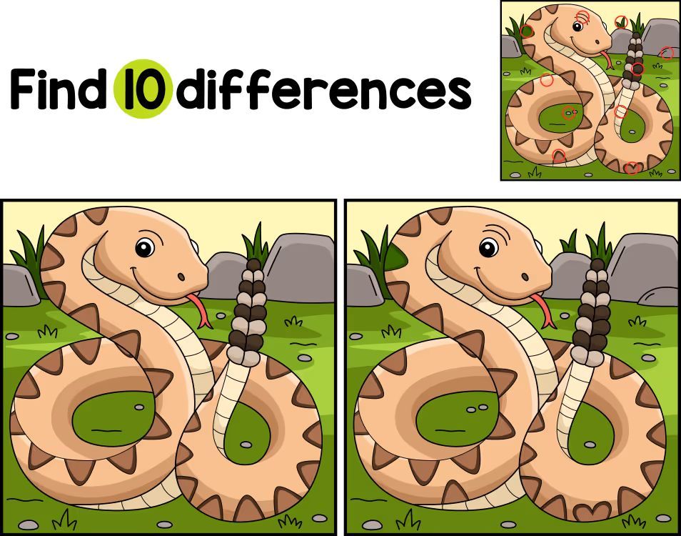 İki Resim Arasındaki 10 Farkı Bul