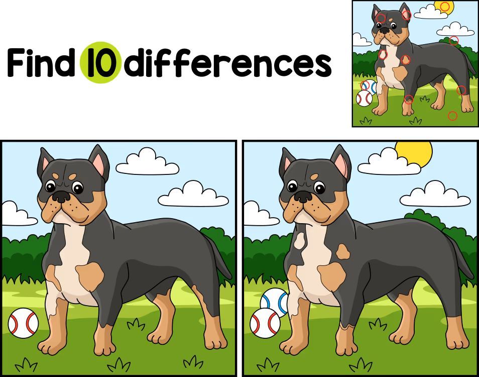 İki Resim Arasındaki 10 Farkı Bul