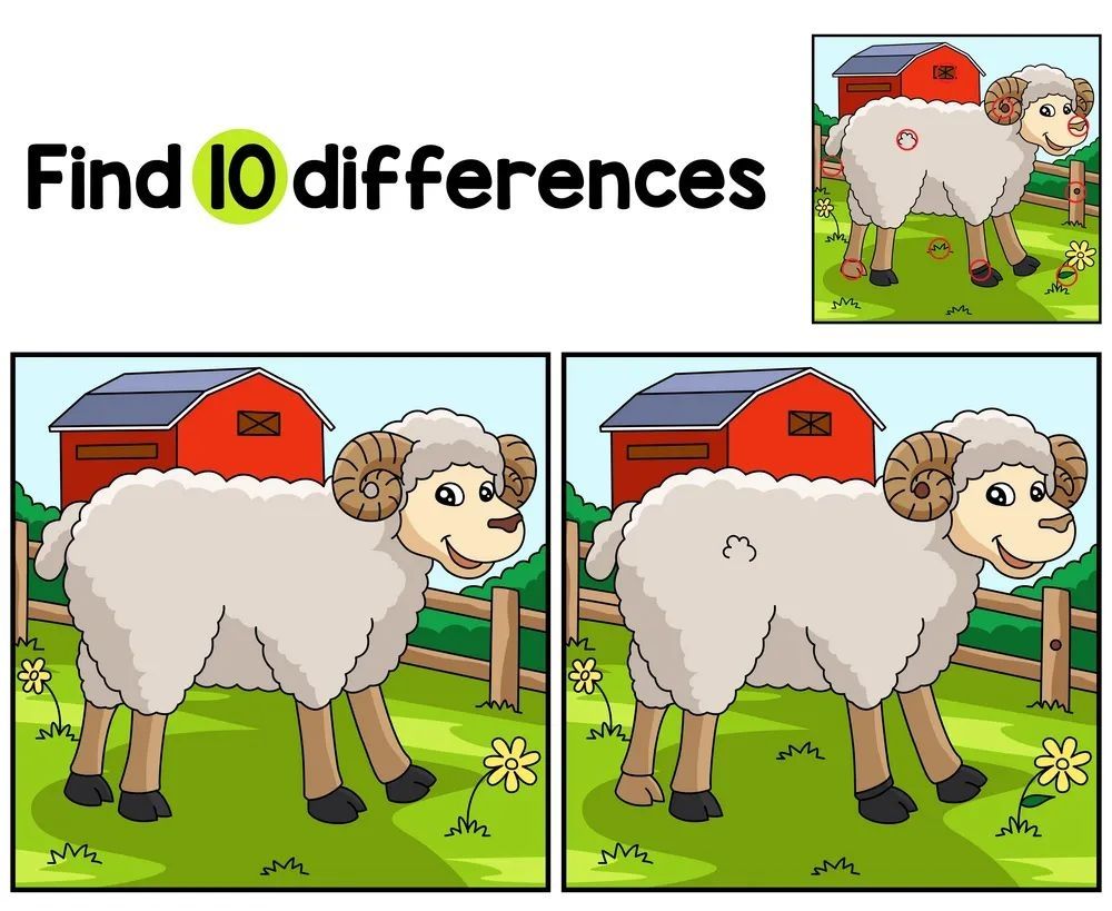 İki Resim Arasındaki 10 Farkı Bul