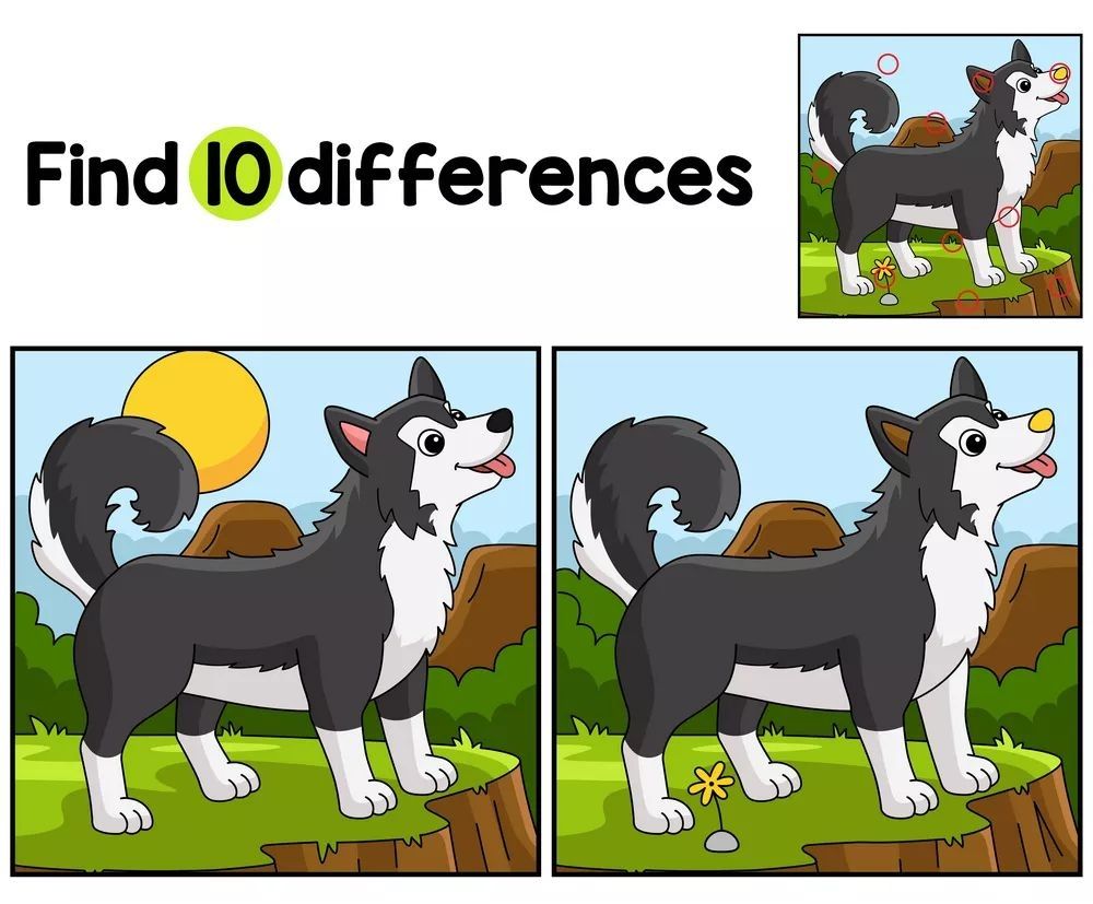 İki Resim Arasındaki 10 Farkı Bul