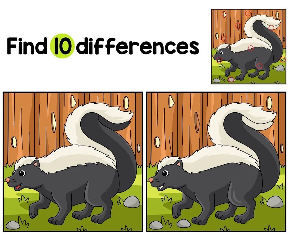 İki Resim Arasındaki 10 Farkı Bul
