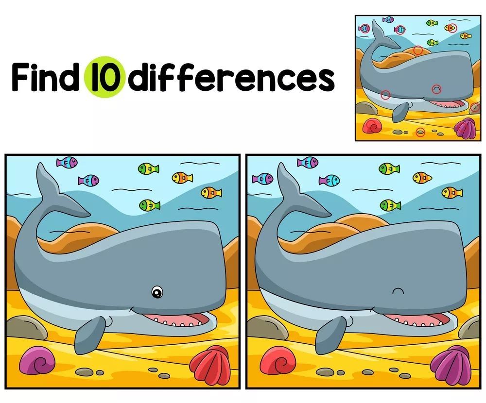 İki Resim Arasındaki 10 Farkı Bul